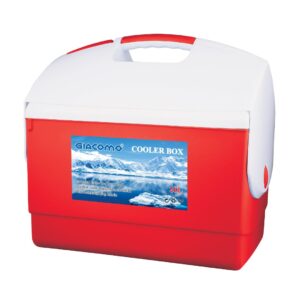 20L Cooler Box